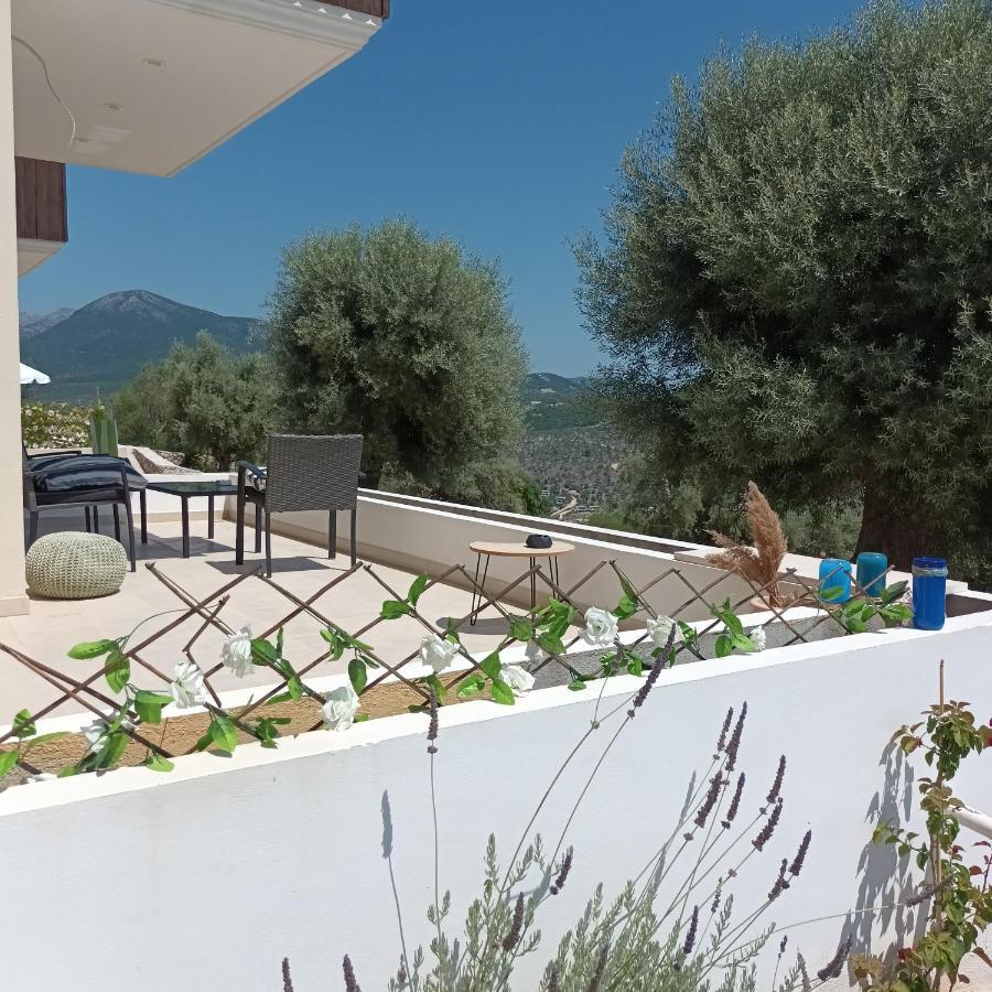 Kotseris Luxury Villas, Jiovanni Villa & Angelina Villa Sivota  Ngoại thất bức ảnh